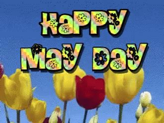 happy may day gif|May Day Flowers GIF